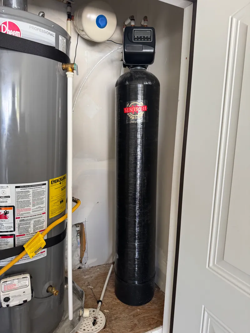 Water heater with whole-house filtration system
